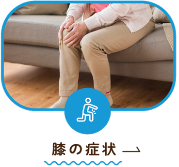 膝の症状
